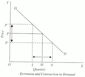 Extension And Contraction Of Demand In Economics extension and contraction of demand