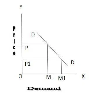 Difference Between Individual Demand Schedule And Market Demand Schedule Individual Demand Schedule And Market Demand Schedule 2