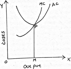 Factors Affecting Optimum Firm - With Example And Diagram Factors Affecting Optimum Firm