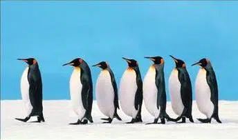 The New Model for Ethical Leadership types of leadership power | A New Model for Ethical Leadership