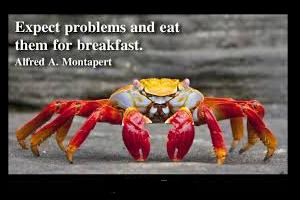 Motivational Problems In Strategic Evaluation And Control Motivational Problems