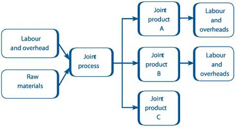 Difference Between Joint Cost And Common Cost difference between joint cost and common cost