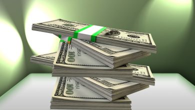 The Reasons For Increase In Public Expenditure The Reasons For Increase In Public Expenditure