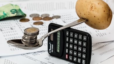 What Are the Different Sources Of Public Revenue? sources of public revenue