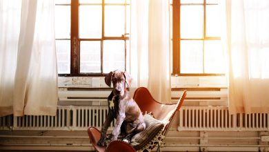 Accounting For Annual Leave Journal Entries annual leave