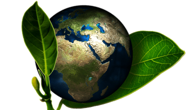 Material Balance Model In Environmental Economics