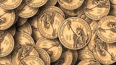6 Factors Limiting The Payment Of Indemnity In Insurance 6 Factors Limiting The Payment Of Indemnity In Insurance