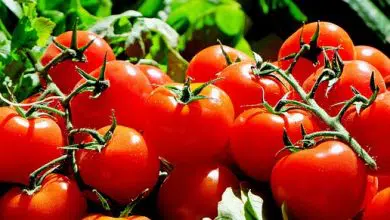 Features Or Characteristics Of Convenience Goods Features Or Characteristics Of Convenience Goods