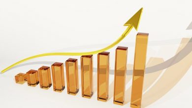 Limitations of Shareholder Value Assumption What Are The Measures To Control Business Cycles