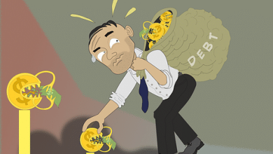 Difference Between Programme Budget and Responsibility Budget