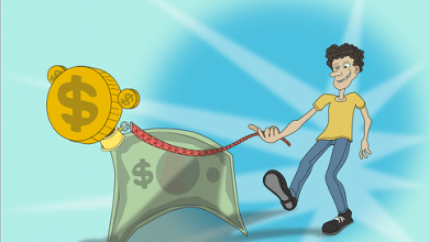 What are the Various Steps in Preparation of Budgets