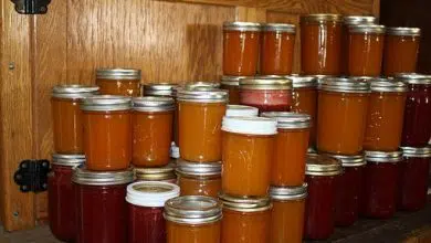 Different Ways and Importance of Food Preservation Different Ways and Importance of Food Preservation