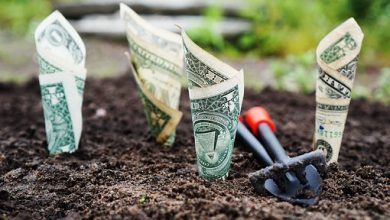How Ready Rates are Calculated on the Basis of Cross Rates for Currencies How Ready Rates are Calculated on the Basis of Cross Rates for Currencies
