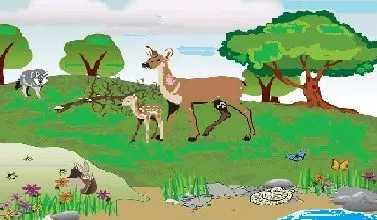 Dynamics of Ecosystems : Productivity And Energy Flow biotic community | Dynamics of ecosystems
