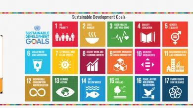 What do you understand by Sustainable Development? Sustainable development goals sdg 17