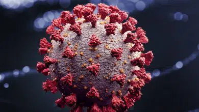 How Much Do You Really Know About COVID-19? COVID